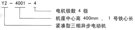 YR系列(H355-1000)高压YKK6303-6/1600KW三相异步电机西安西玛电机型号说明